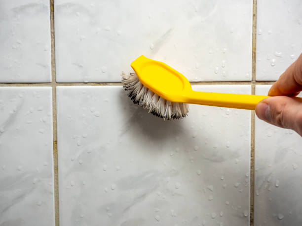 Best Mold Testing  in Ackley, IA