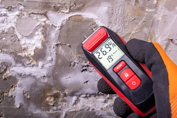 Mold Removal and Inspection in Ackley, IA